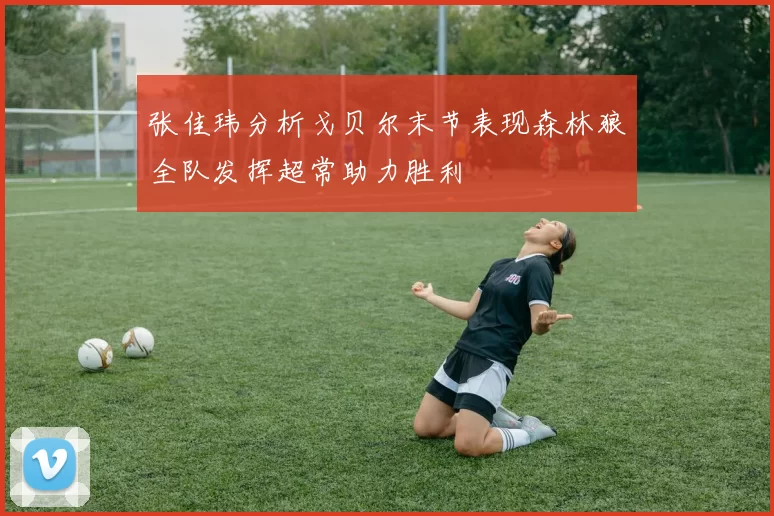 张佳玮分析戈贝尔末节表现森林狼全队发挥超常助力胜利
