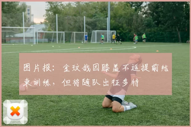 图片报：金玟哉因膝盖不适提前结束训练，但将随队出征多特