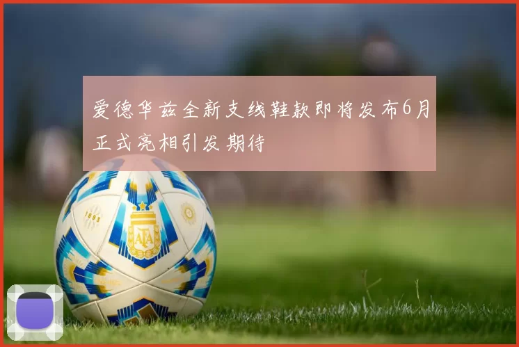 爱德华兹全新支线鞋款即将发布6月正式亮相引发期待