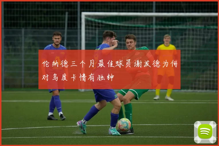 伦纳德三个月最佳球员谢泼德为何对乌度卡情有独钟